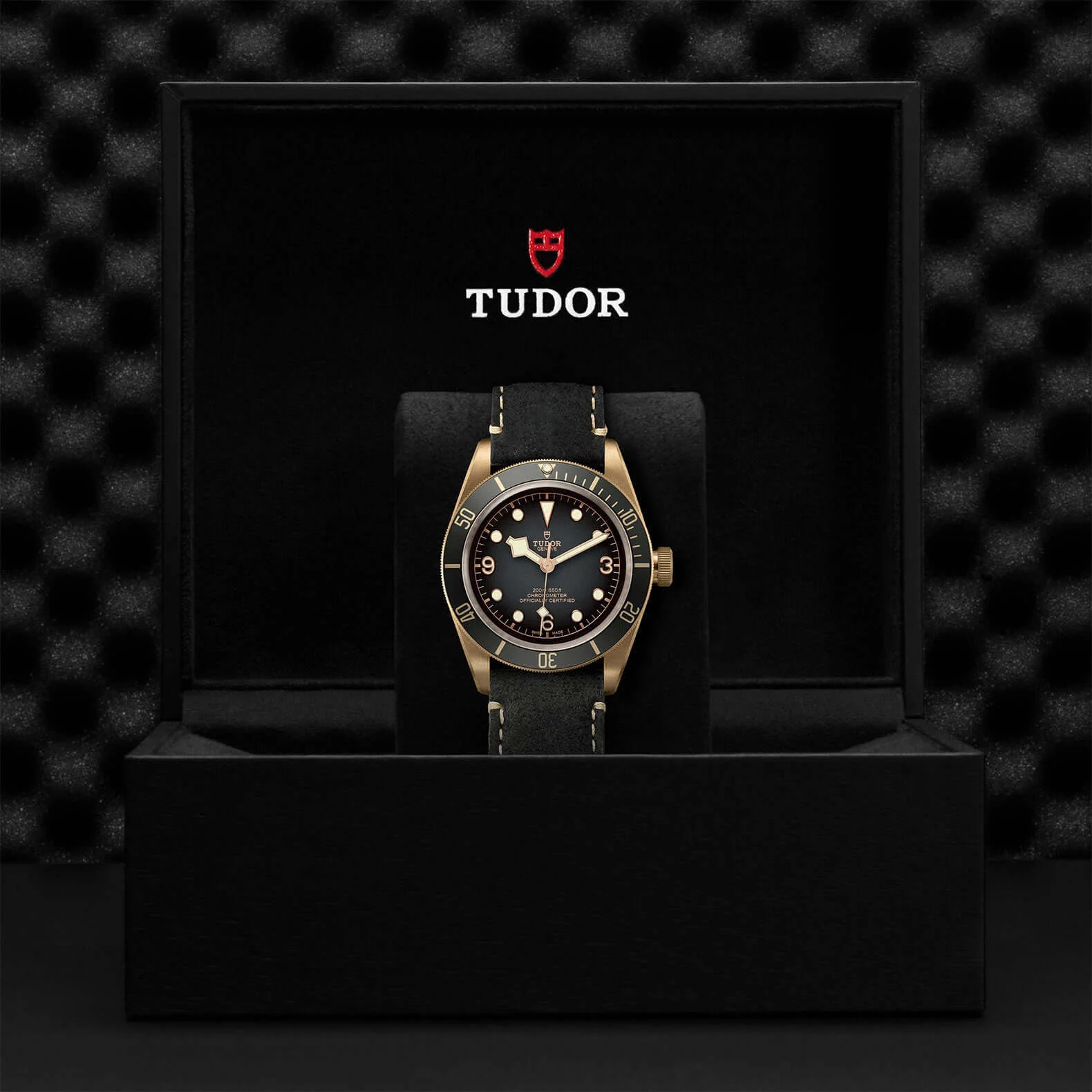 Tudor Black Bay Bronze - Image 3
