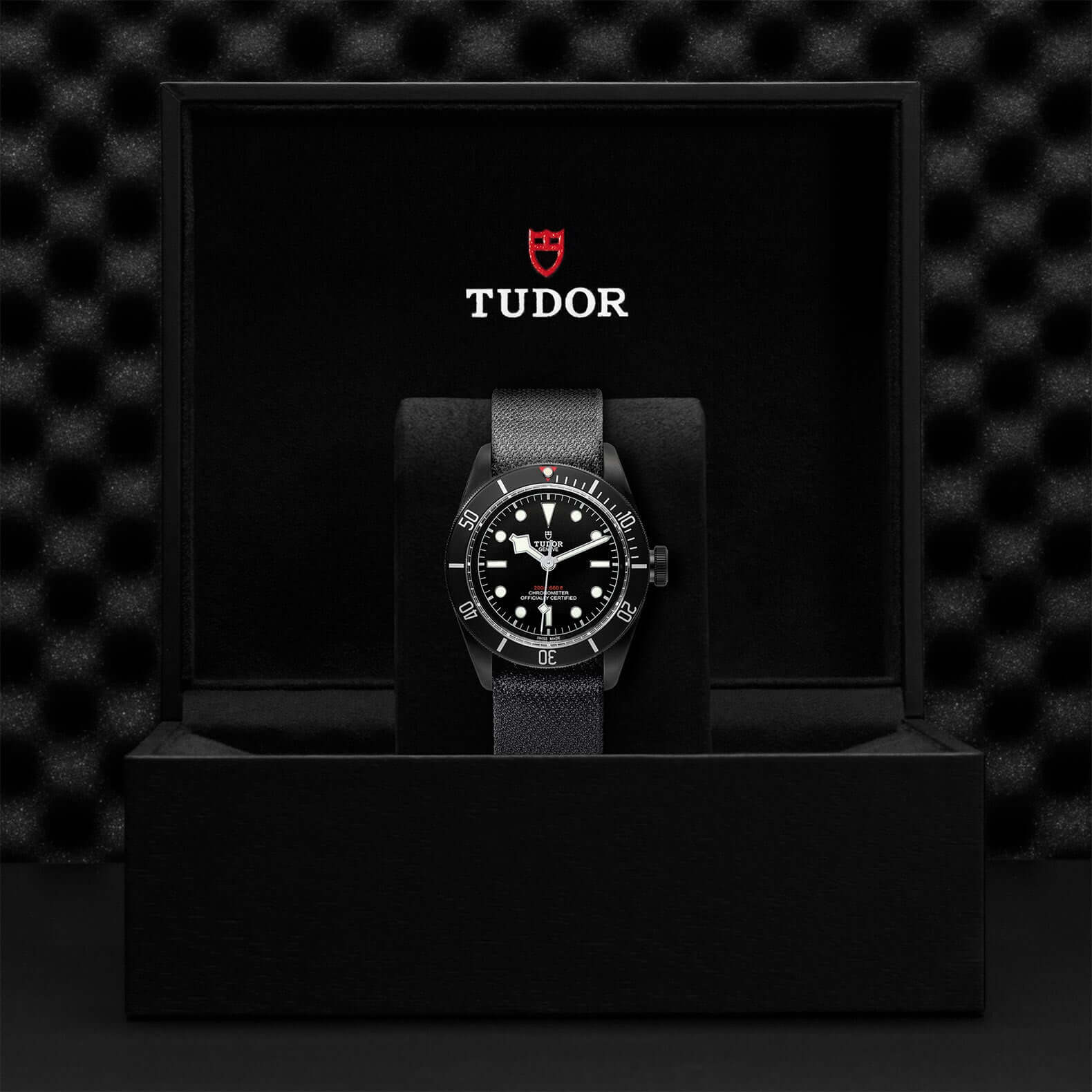 Tudor Black Bay Dark - Image 3