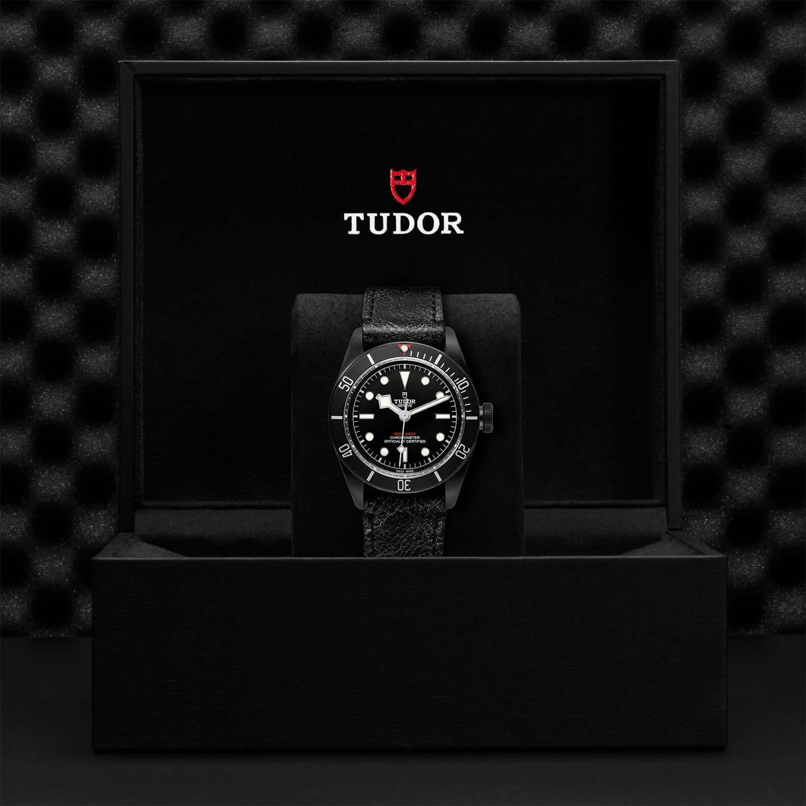 Tudor Black Bay Dark - Image 3