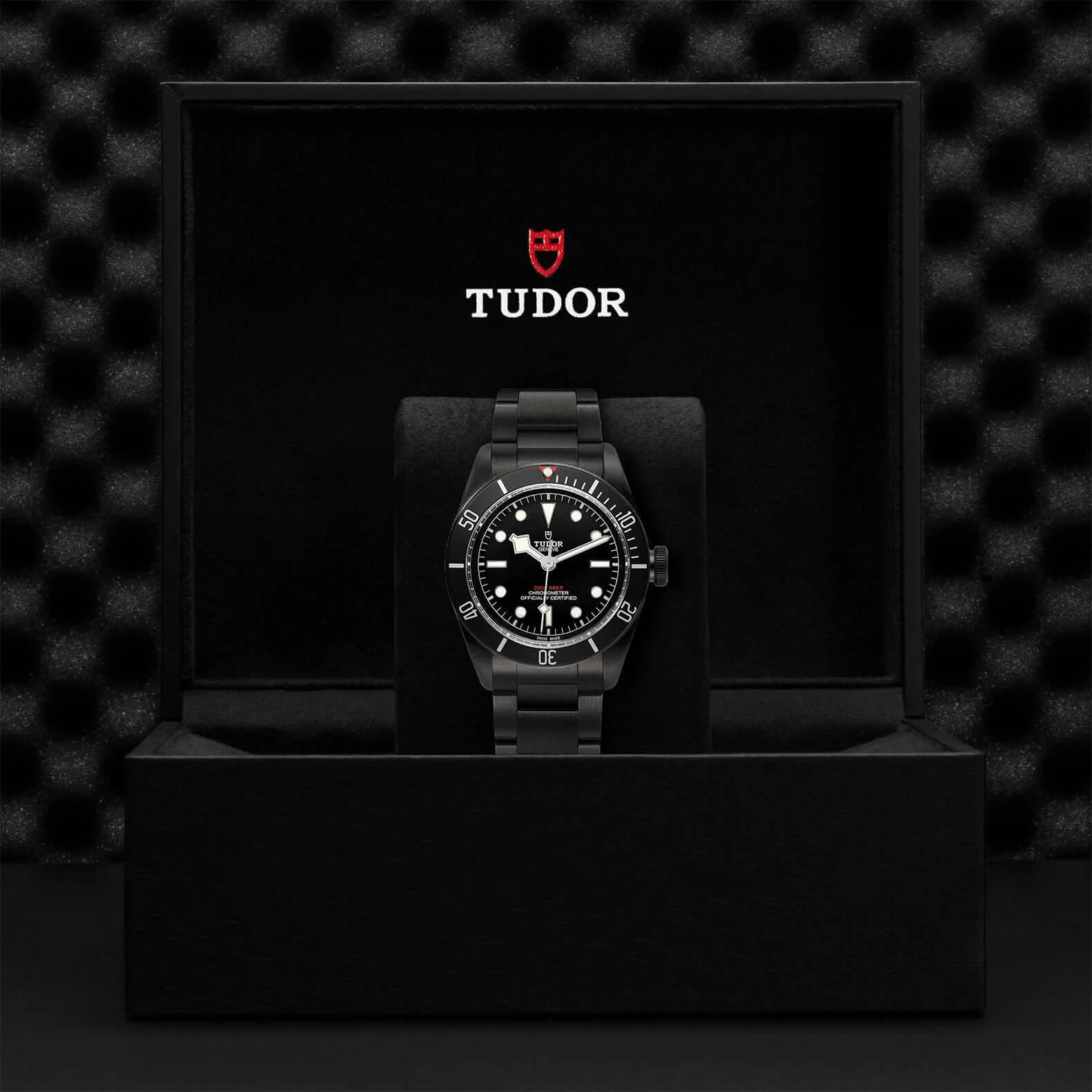 Tudor Black Bay Dark - Image 3