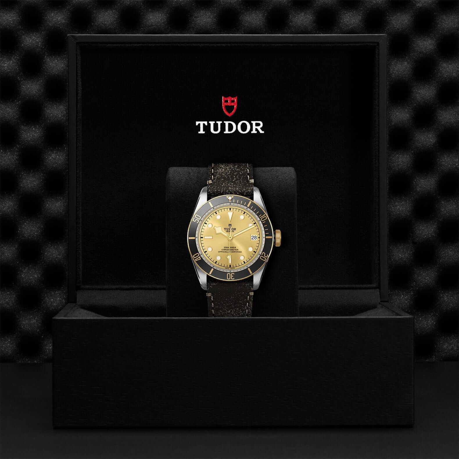 Tudor Black Bay Steel and Gold - Image 3