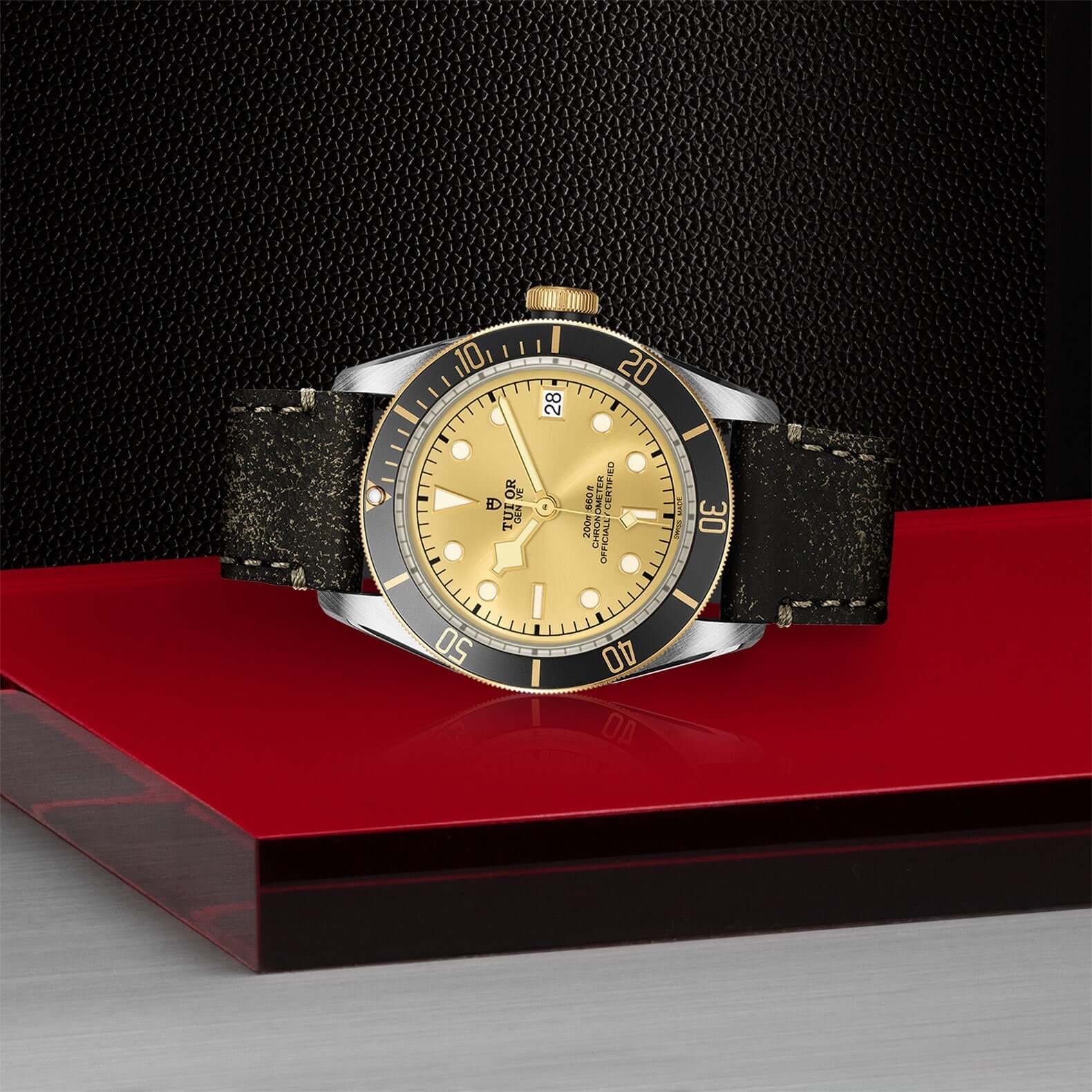 Tudor Black Bay Steel and Gold - Image 4