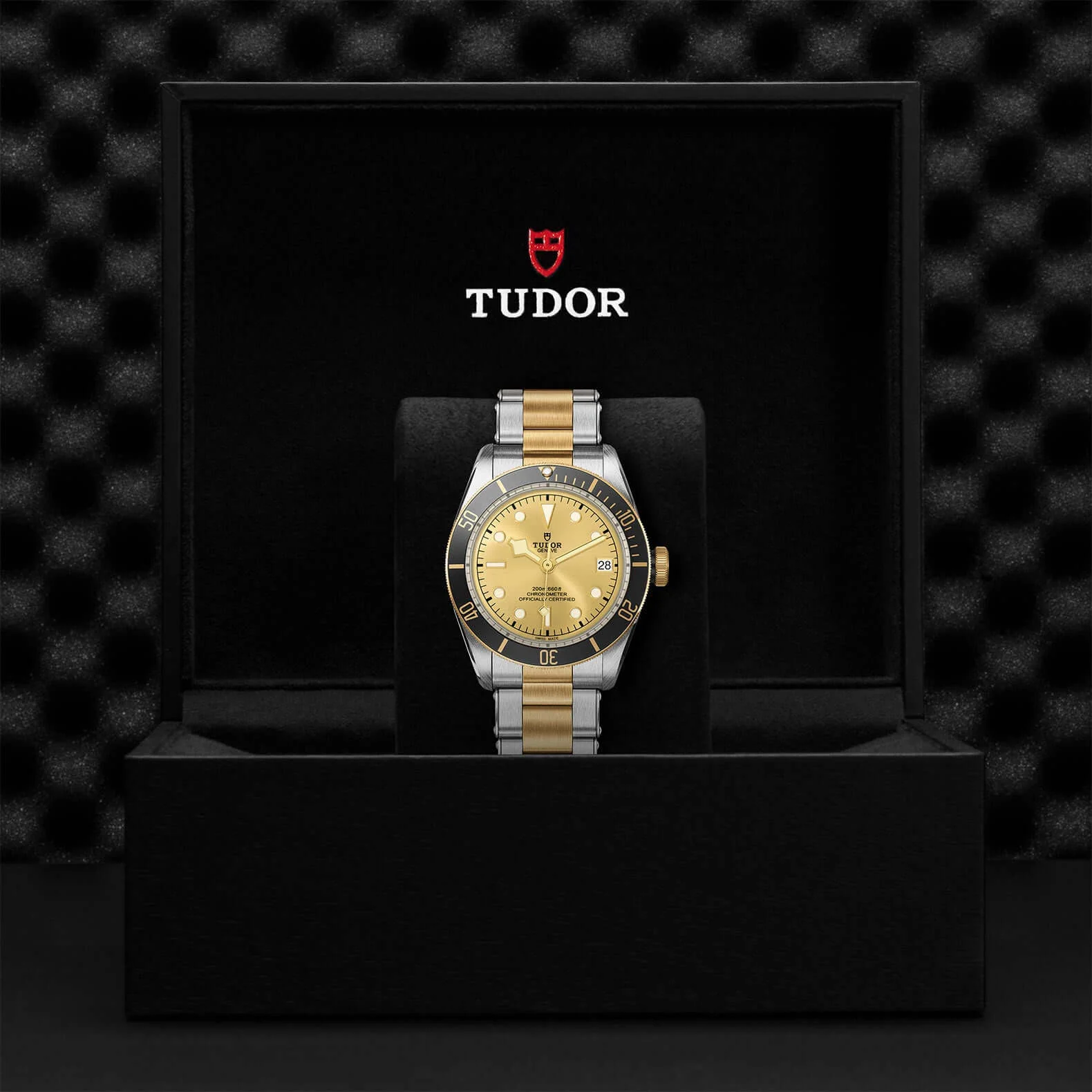 Tudor Black Bay Steel and Gold - Image 3