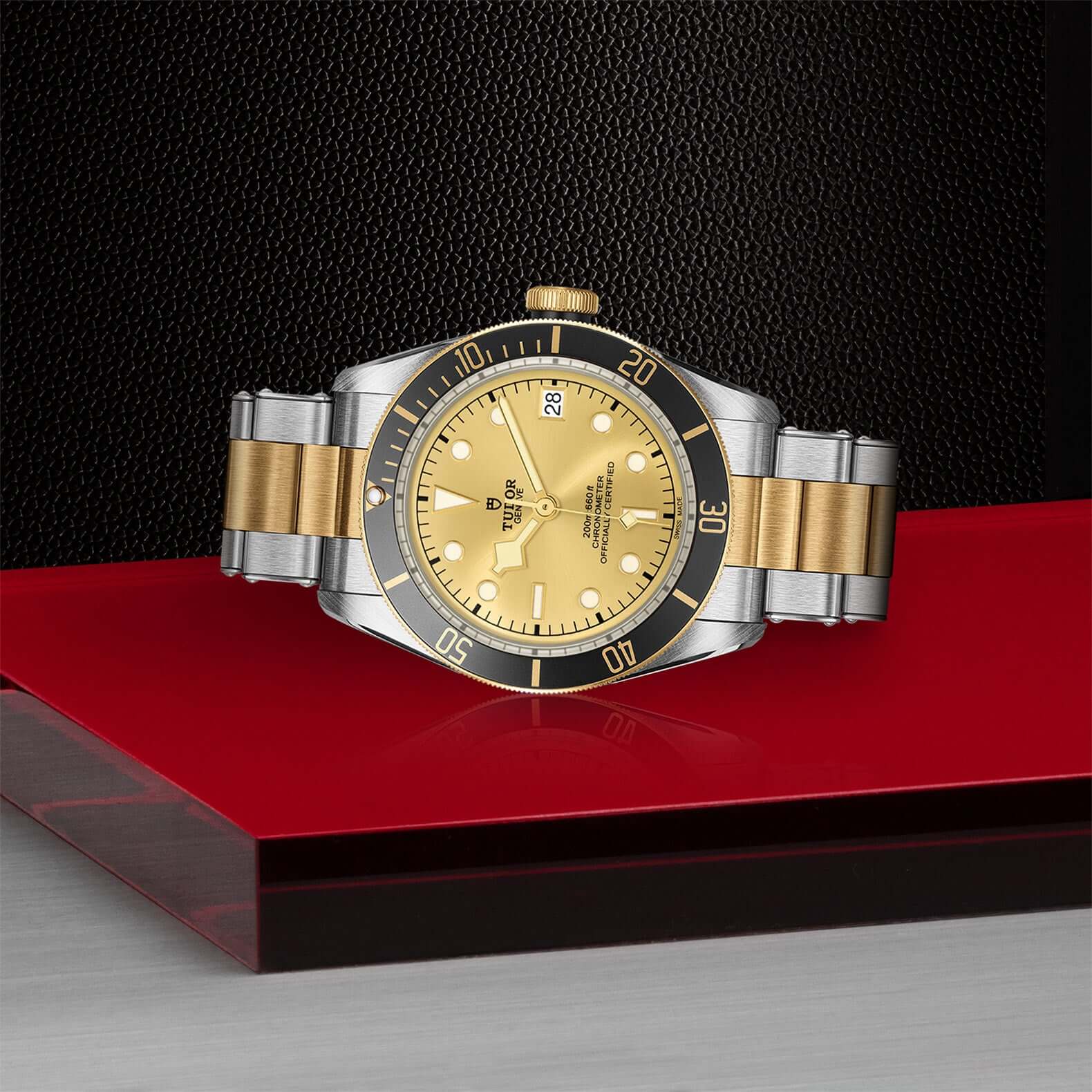 Tudor Black Bay Steel and Gold - Image 4