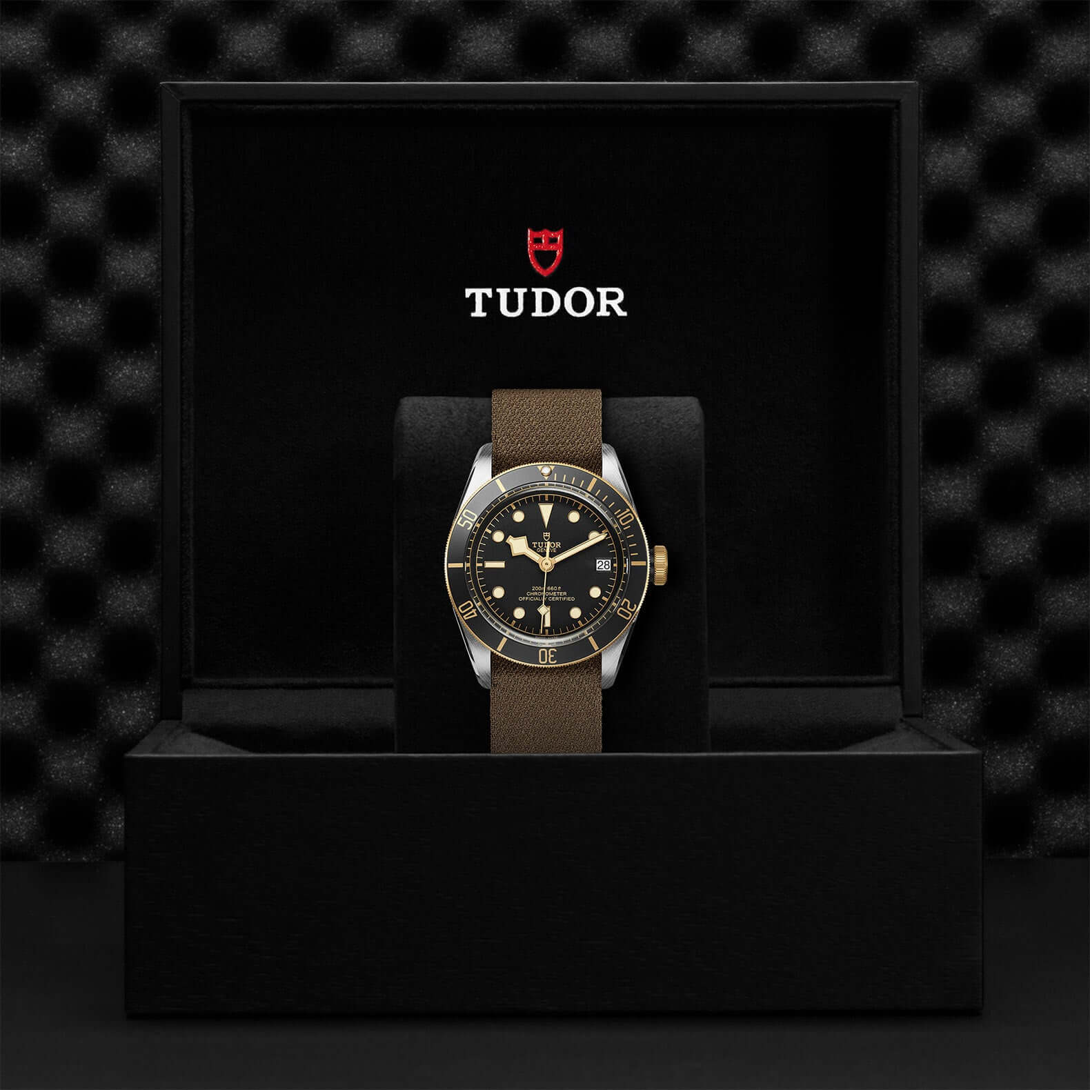 Tudor Black Bay Steel and Gold - Image 3