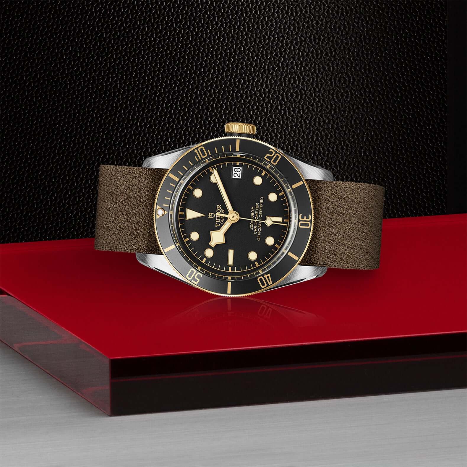Tudor Black Bay Steel and Gold - Image 4