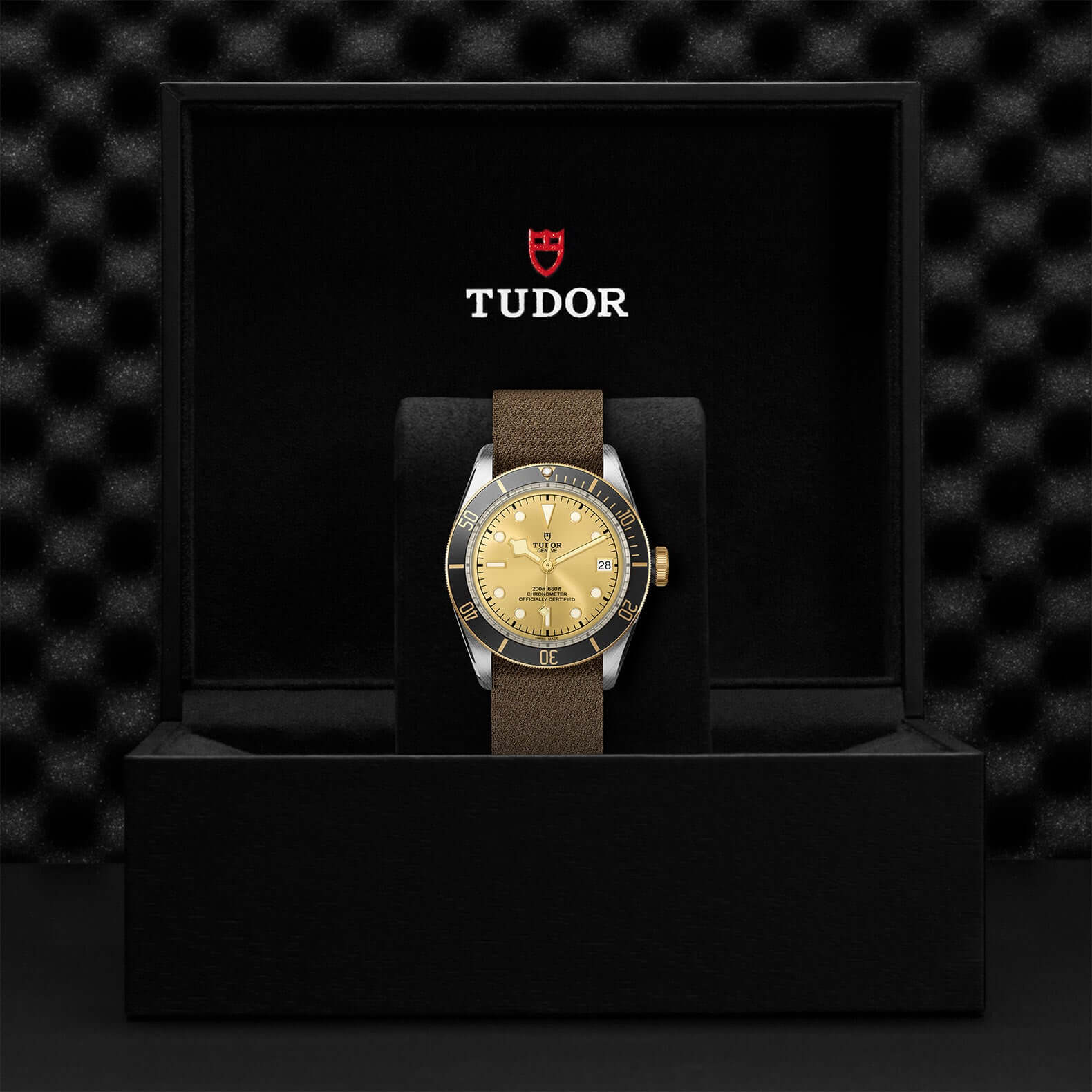Tudor Black Bay Steel and Gold - Image 3