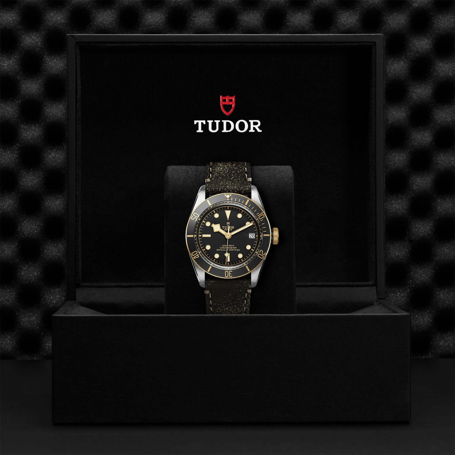 Tudor Black Bay Steel and Gold - Image 3