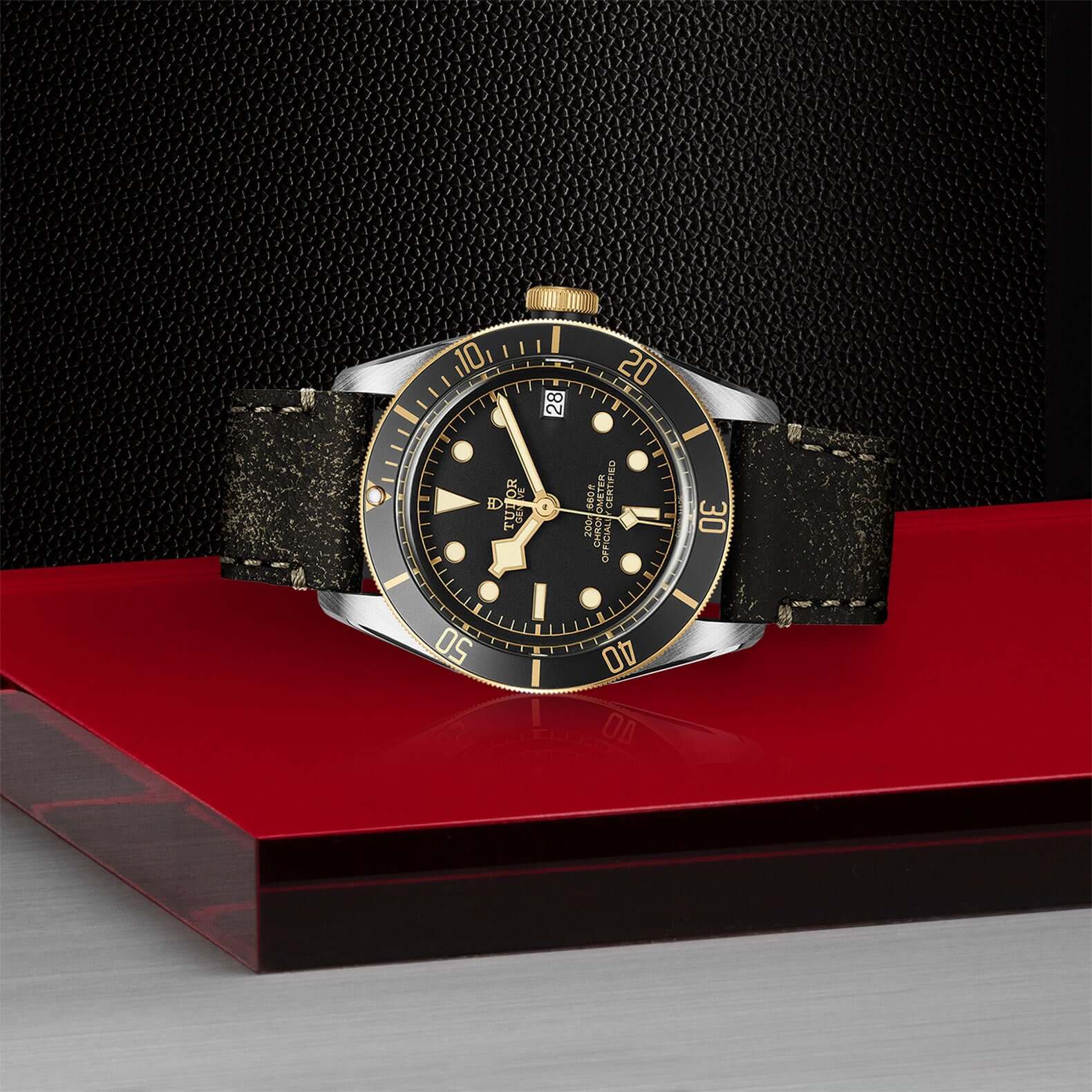 Tudor Black Bay Steel and Gold - Image 4