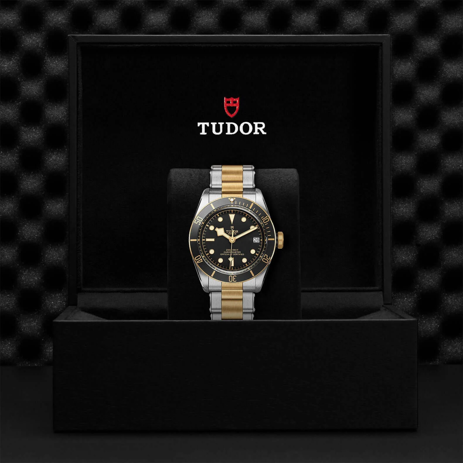 Tudor Black Bay Steel and Gold - Image 3