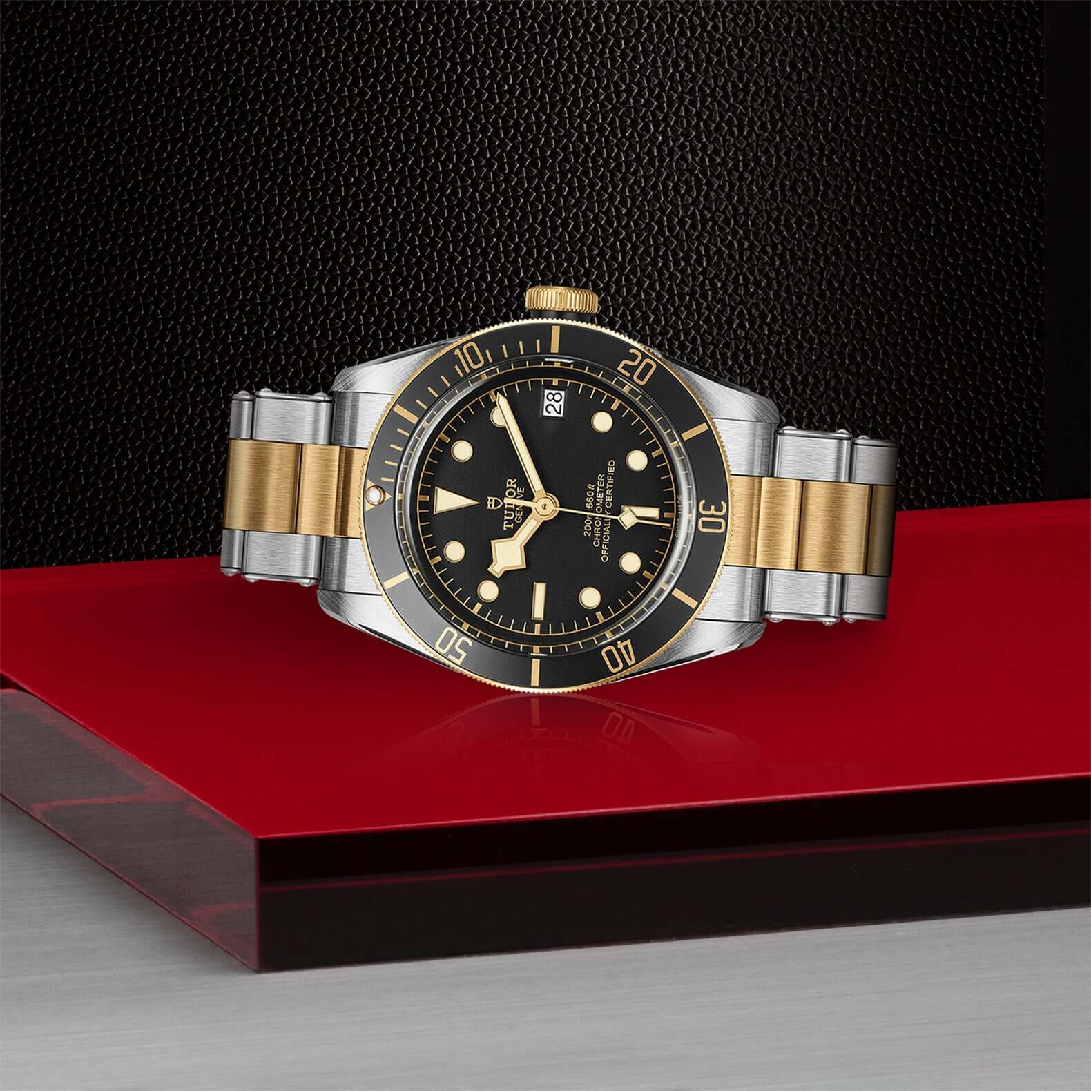 Tudor Black Bay Steel and Gold - Image 4