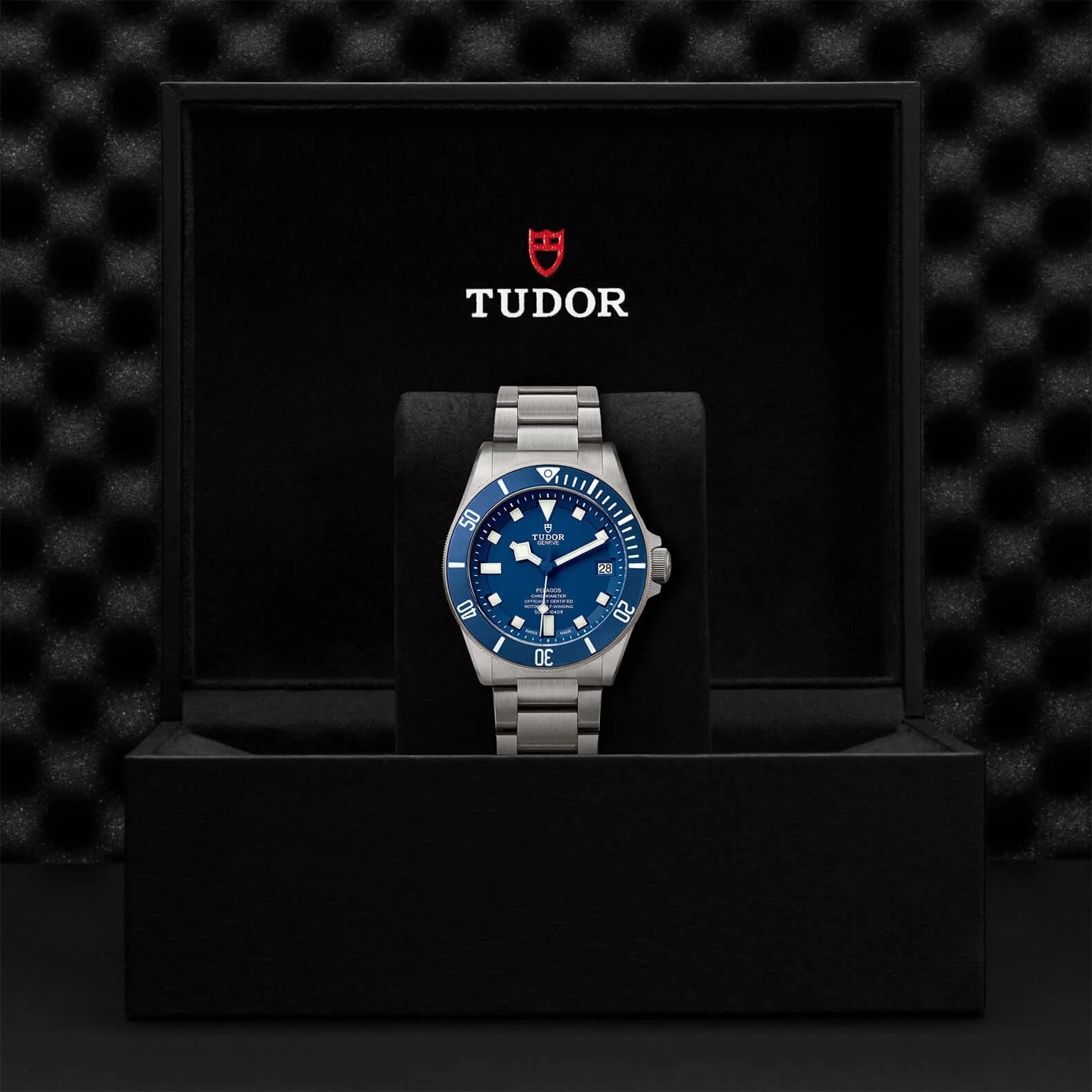 Tudor Pelagos - Image 3