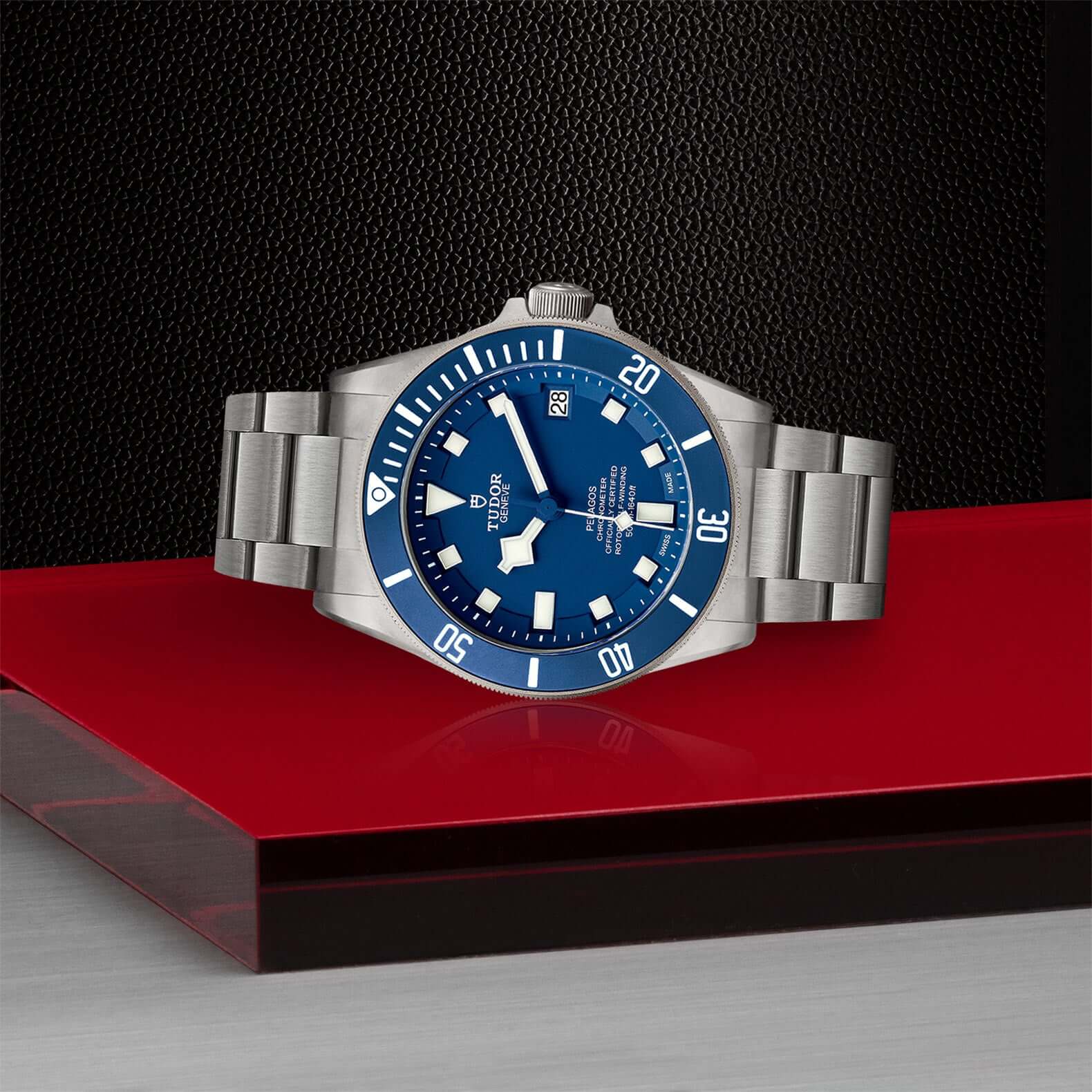 Tudor Pelagos - Image 4