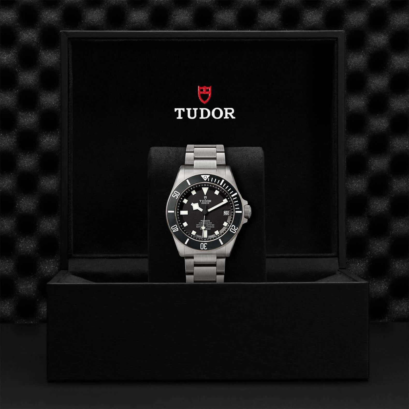 Tudor Pelagos - Image 3