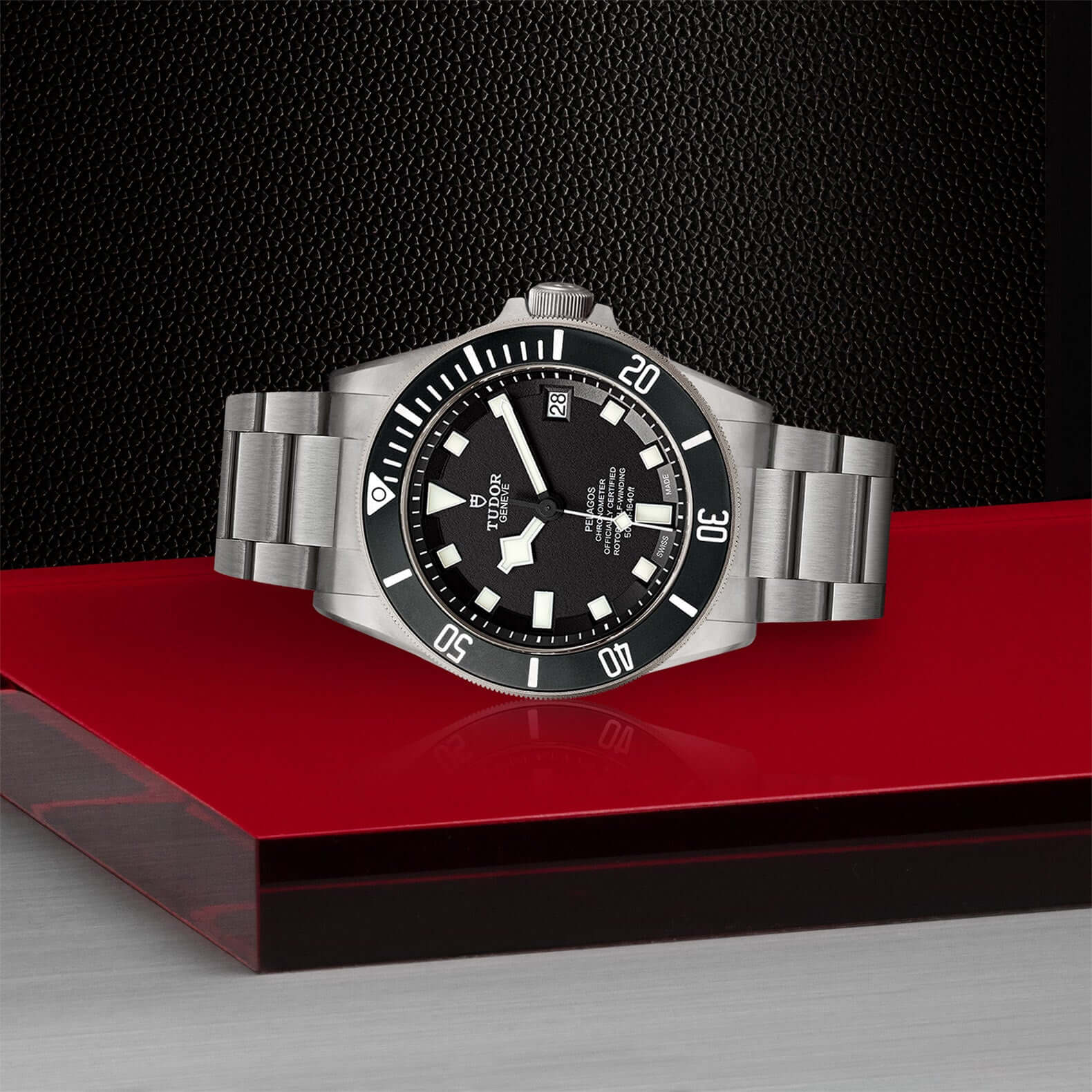 Tudor Pelagos - Image 4